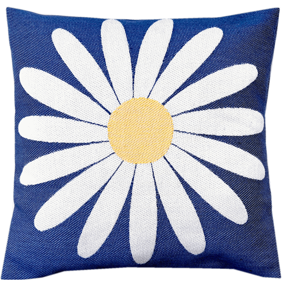 Kuddfodral 30x30cm Prästkrage Blå