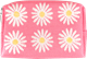 Pochette 12cm Marguerite Rose