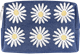 Pochette 12cm Marguerite Bleue