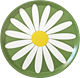 Tablett D 38 Wiesen-Margerite Grün