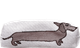 Pennfodral Tax Brun