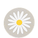 Coaster Daisy Light-grey