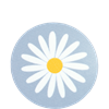 Dessous de verre Marguerite Bleu Clair