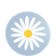Coaster Daisy Light-blue