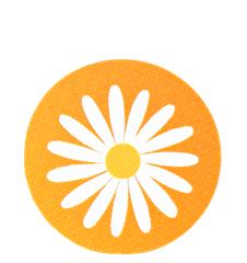 Coaster Daisy Orange