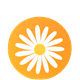 Coaster Daisy Orange