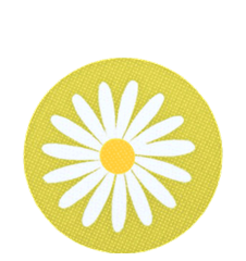Coaster Daisy Lime