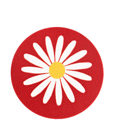 Untersetzer Wiesen-Margerite Rot