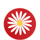 Coaster Daisy Red