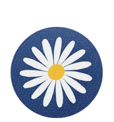 Untersetzer Wiesen-Margerite Blau