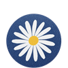 Coaster Daisy Blue