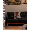 Taie d'oreiller douce 45x45 Animaux Suèdois