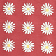 Tissu 145cm Marguerite Rouge
