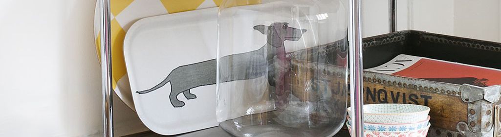 Trays 43x22 cm