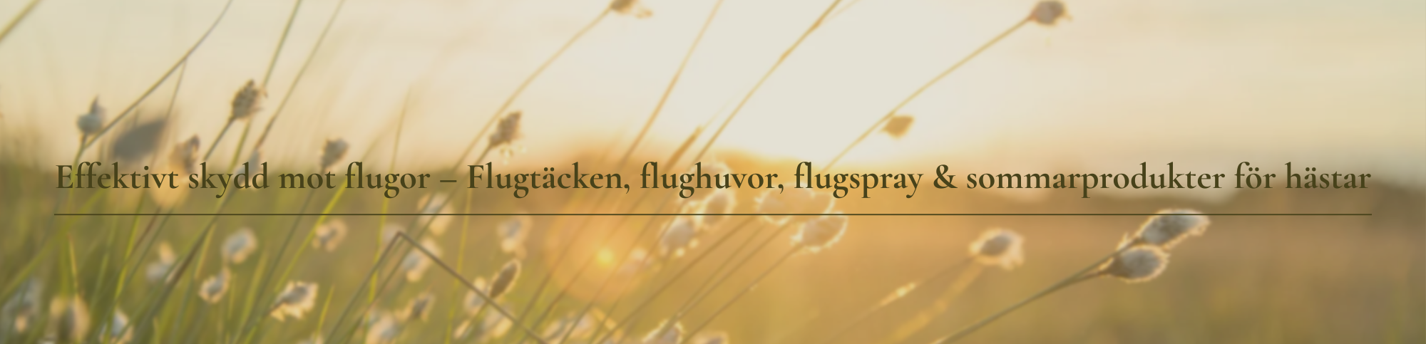 Gör dig redo för sommarsäsong🪰🐝