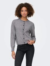 Onlcamille Basic L/S Cardigan Knt Noos