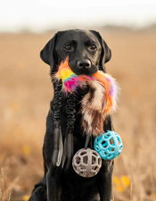 Hundleksak Play-N-Tug Unicorn Boll 65Cm