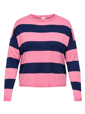 Carderry Ls Stripe O-Neck Knit