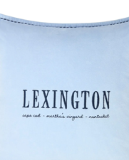 Logo Organic Cotton Velvet Pillow Cover 50X50 Blue