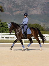 Ss26 Suede Dressage Square Powder Blue Large