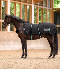 Waldhausen Health+Care Tecsupreme Heating & Massage Rug