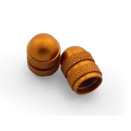 VALVE CAP SET