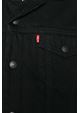 LEVI'S® Type 3 Sherpa Trucker Berk Sherpa