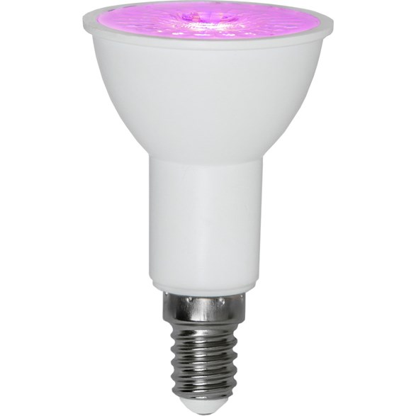 LED Lampa E14 3,5W PAR16 växtbelysning