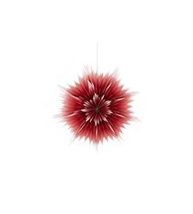 Julstjärna Roxy D75 mörkröd ombre