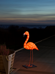 Flamingo LED, akryl 70cm