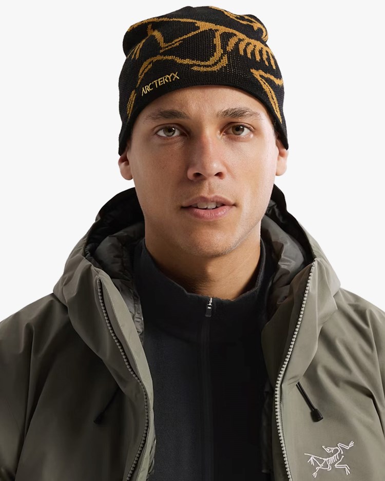 arcteryx-bird-head-toque-24k-