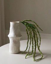 Botané Amaranthus Flower Green