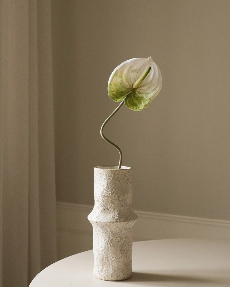 Botané Anthurium Flower Light Green