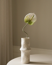 Botané Anthurium Flower Light Green