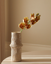 Botané Cymbidium Orchid Flower Green