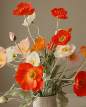 Botané Wild Poppy Dance Bouquet Red/Pink/Coral Redpinkcoral