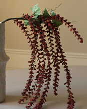 Botané Amaranthus Flower Tassle Red