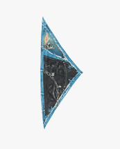 Acne Studios Printed Scarf Trompe L'oeil Black/Blue