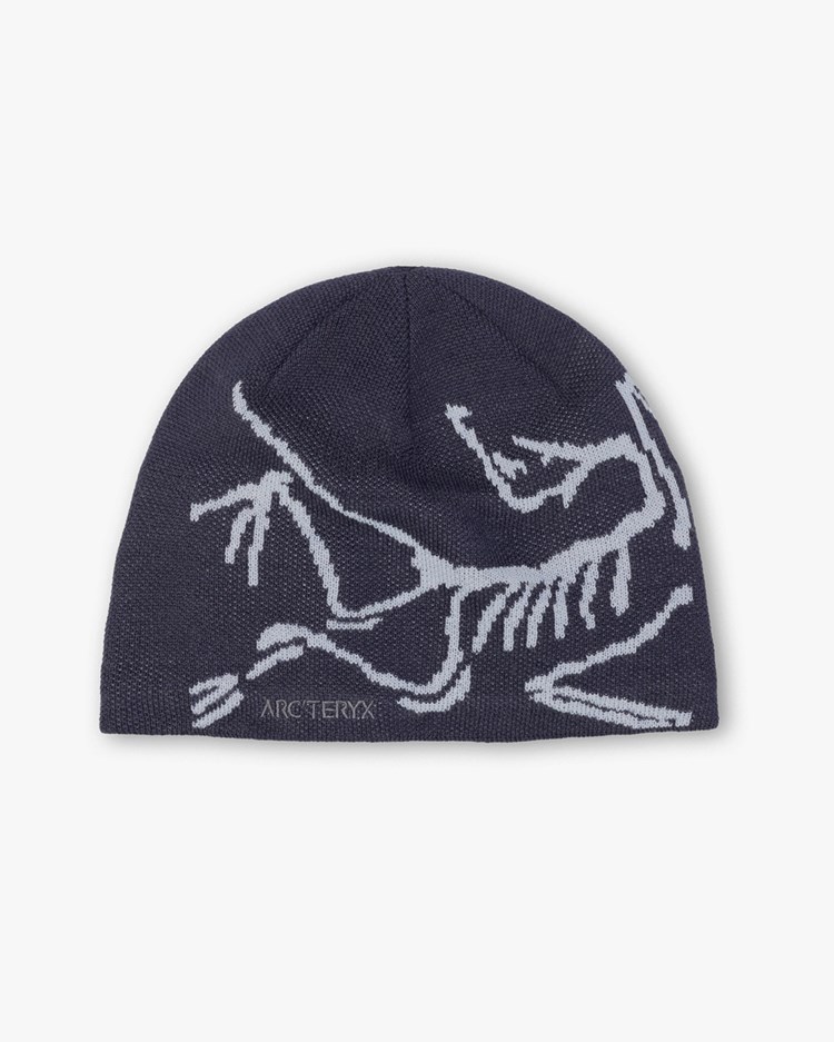 Arc'teryx Bird Head Toque Black Sapphire/Alpine