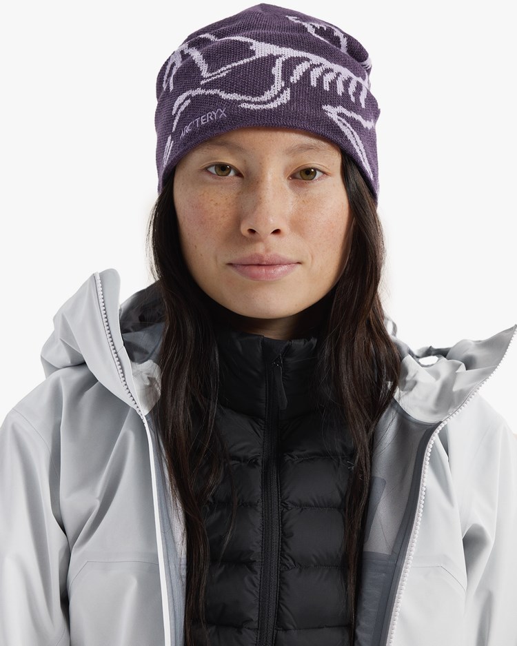 Arc'teryx Bird Head Toque Moondrop/Mallow - Vallgatan 12