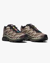 Salomon Xt-6 Walnut/Huckleberry/Urban Chic