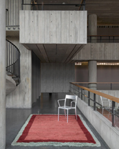 Layered Shaggy Edge Wool Rug Rose