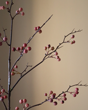 Botané Berry Branch Pink