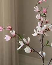 Botané Star Magnolia Branch Pink