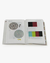 A Dictionary Of Color Combinations - Volume 2