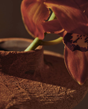 Ferm Living Evio Vase H22 Burnt Umber