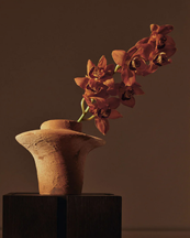 Ferm Living Evio Vase H22 Burnt Umber