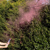 Pink Gender reveal smoke cannon