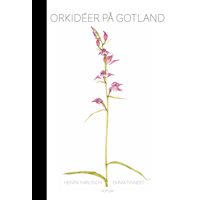 Orkidéer på Gotland (Karlsson & Tinnert)