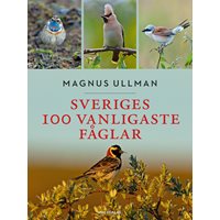 Sveriges 100 vanligaste fåglar (Ullman)